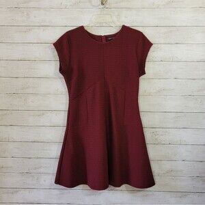 Banana Republic Factory Fit & Flare Dress Size 10 Petite